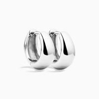 Sterling Silver Huggie Earrings