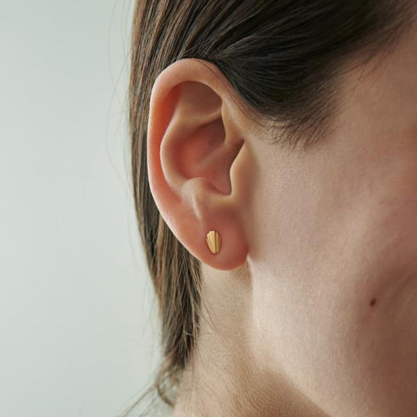 Gold Shell Stud Earrings
