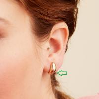 Gold High-Polish Stud Earrings