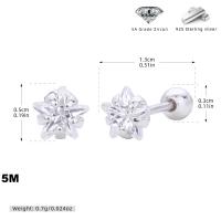 Silver Star Zircon Stud Earrings