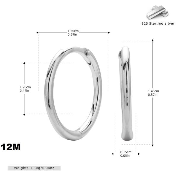 Silver-Tone Small Hoop Earrings