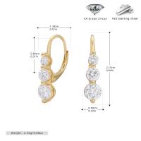 Gold Zircon Drop Earrings