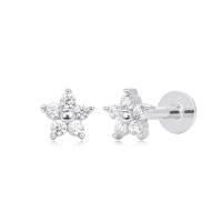 Silver Star Cubic Zirconia Stud Earrings