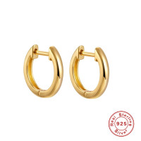 Gold-Plated Small Hoop Earrings