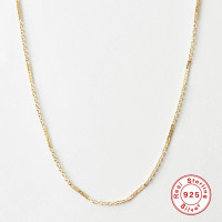 Gold-Plated Delicate Chain Necklace