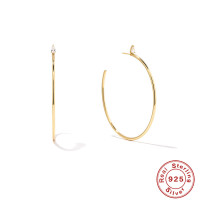 Gold-Tone Large Hoop Earrings with Cubic Zirconia